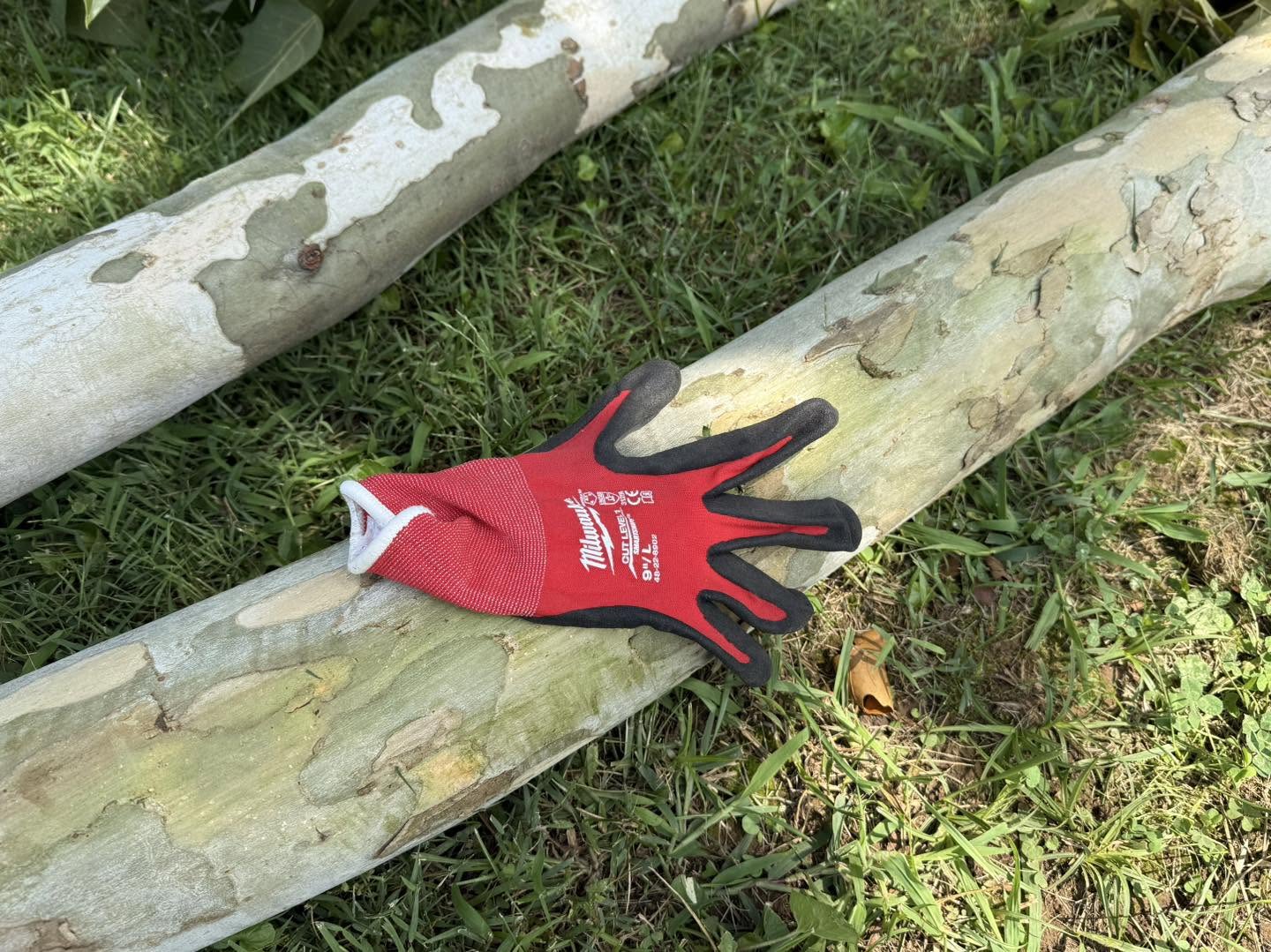 A work glove resting on a cut tree trunk.